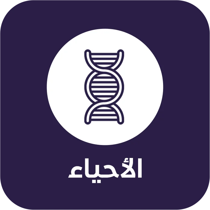 الأحياء